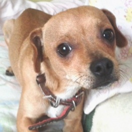 D 8c937f7a b772 4a8c a410 91202c989eae