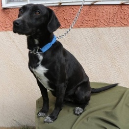 D 12afad66 8725 4627 8ab1 9b213a00eba2