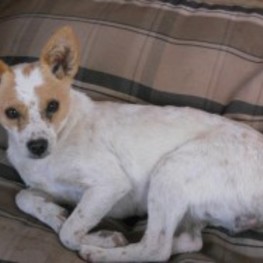 D 2e3f8f8b ef22 44ba 9022 a5357e105379