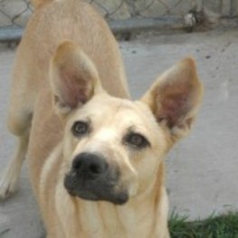 D bd3750ca 9898 4a06 b6d8 94929ce09edb