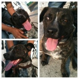 D 3d237a7a 1c41 47fd bd05 e2b290dc62ff