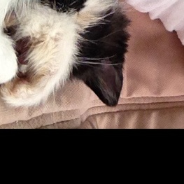 D 6926a1f5 5d88 459e ad91 f09344a50eac