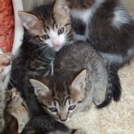 D a3c57c53 a840 45be a19c d24f8275d118