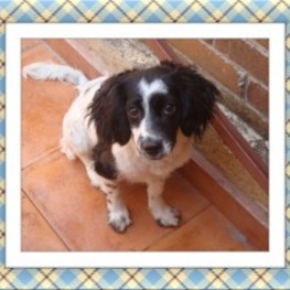 D 415d041e 59d3 40a5 8c3f 7af7e6162447