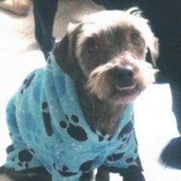 D 45f08e2a f1e7 4f7c 92db eda32412412d