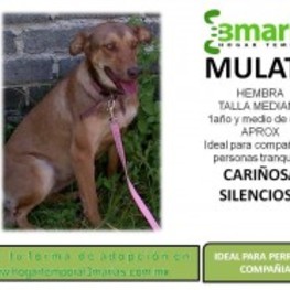 D f3cde09e 3d8a 4524 beb6 dfa67d62f807