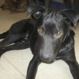 D ccfe9e81 74cc 45a5 a212 8045019d17a5