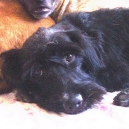 D 6c9ca6b7 1247 4b36 acad d688dcca88c9