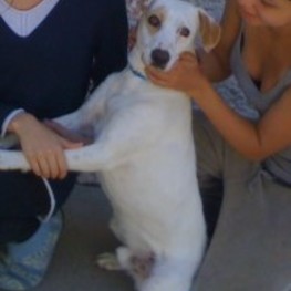 D fe07e5f0 99c4 4f4a 8cf8 1ee18c90aef9