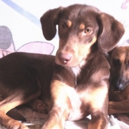 D 1f354a16 b1e6 4a4c be18 6872adad7866