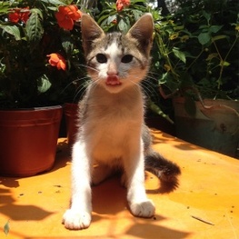 D b7486eb4 7d7c 4805 be3e 2e804fce3ae1