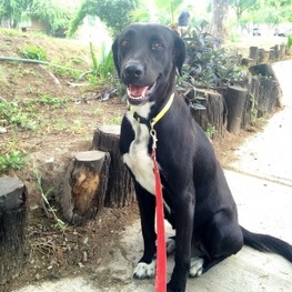 D d12f3d1e c8d8 461a 9df4 720a84821500