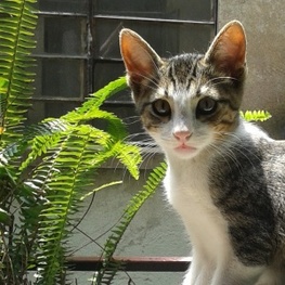 D c1670a2e 8c98 4fd6 ab03 b35e184453fd