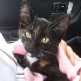 D ddfdf693 c4bf 473f abb2 5ccde4d8494e