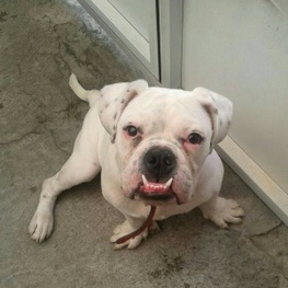 D b8815f1a 5afe 4576 ad58 d743ee3e1fde