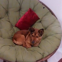 D 8d3f5fe2 aeb0 4558 b533 854c3a8d7d12