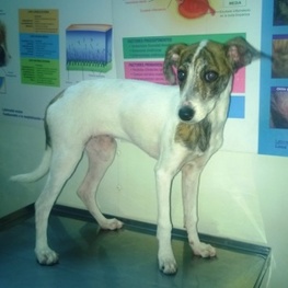 D 025378cb 749c 4131 bbd9 28c93e080ade