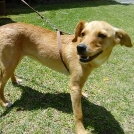 D a37a6216 fc4b 413e 98d1 511e7cc77593