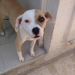 D 9d76b0d9 8a83 4199 ab75 03263f690766