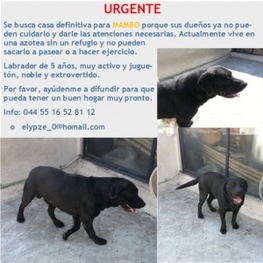 D e5fc9207 f226 4bb4 990a 2a823bfb9ad7