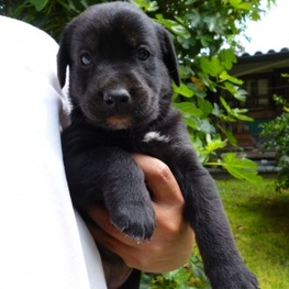 D dc9a4d6d 623b 4849 ab39 c67f5d93ba3d