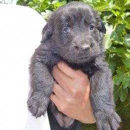 D 5a4ba7e4 87be 4471 b1a1 f529a08ee24e