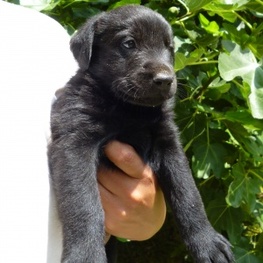 D fabafa4c 4dea 44d9 81de ac1d65365acc