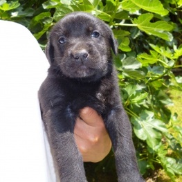 D 7be70430 b5fa 4399 a3e4 692201dafa67