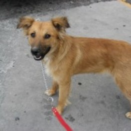 D d1c17811 dff5 45a4 a5a2 d4e852cad2d9