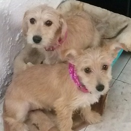 D 77b5e496 2ea8 4657 a27e 653104e33966