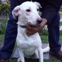 D 0a594595 ca07 4f39 8c7d 4df3e68d95de