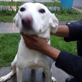 D 0eb48b85 5686 433f bf4e b41c8671b1cf