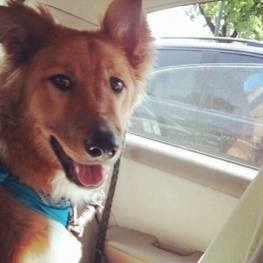 D 74e29d10 4890 471b a6b4 31fea42c7359