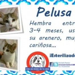 D a450f671 699c 4705 ba60 b219245cffad