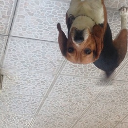 D 55b9e634 426a 4ca3 b346 9592ac58aa43