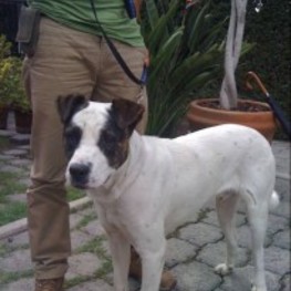 D ffb4720c a5b0 4bea 87a3 c43a326d5074