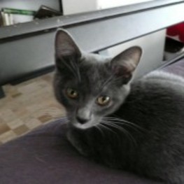 D 3cc7a4a0 1791 4340 a06f 80f24ab71571