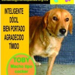 D bbeafbe5 d86f 47c1 9f61 37dfa2adaee6