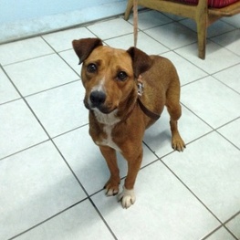 D 6b7c90ba 0fe3 4cec 962d 513161c1cb31