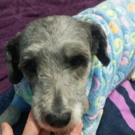 D 98811409 eb27 48f8 ad56 214a5be91d87