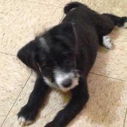 D 22a4a2f7 adbf 42a0 b4ed 92ec89d85d0b