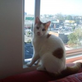 D 03f64f79 0e1f 418c 9f06 f43071278c3d