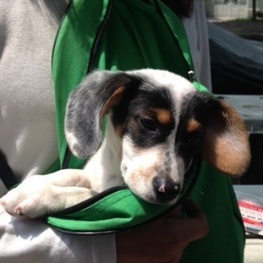 D 0181c061 fb5b 43c4 a22f 252e8a209f22