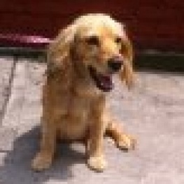 D e782f99e 84d2 486d aff8 bad6a6cdf1f1