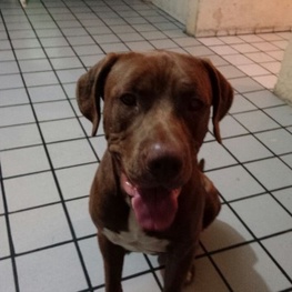 D 9276e4bb 809d 4b38 82c2 5d1c8d27e2d9