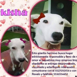 D f1362816 44d2 4331 a5e8 3bc1169dd892