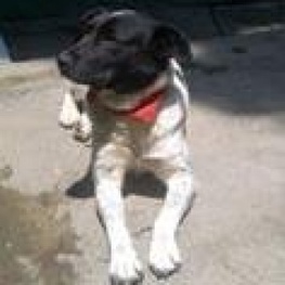 D e10573ce bb46 4658 8320 0969417f0a77