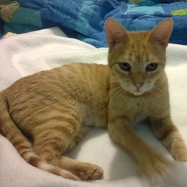 D 6a877ad2 131e 4d6c 9179 79b8538b4959