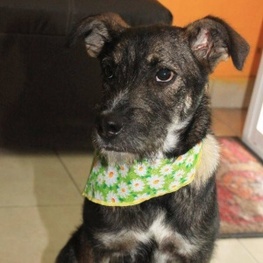 D b25e0732 b609 49f5 8ea5 035f34d15b97