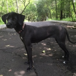 D a809780f 0e2d 41a9 95ce a6bbc1db4a64